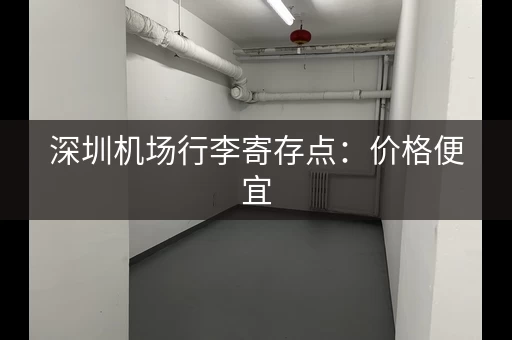 深圳机场行李寄存点：价格便宜，方便快捷
