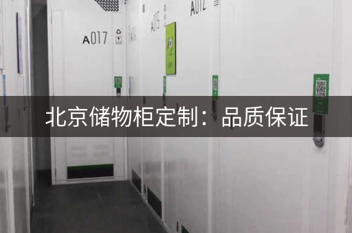 北京储物柜定制：品质保证，售后无忧