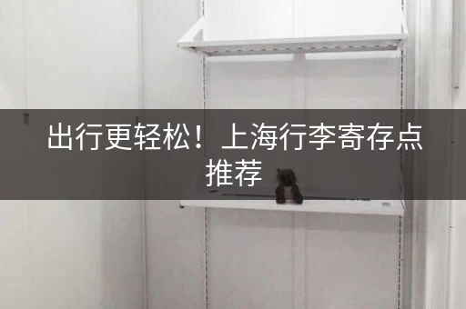 出行更轻松！上海行李寄存点推荐