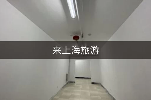来上海旅游，行李寄存哪里找？
