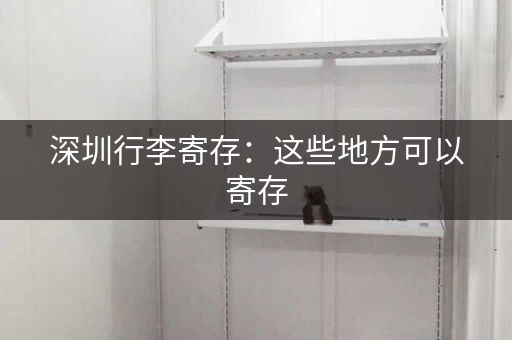 深圳行李寄存：这些地方可以寄存，价格实惠