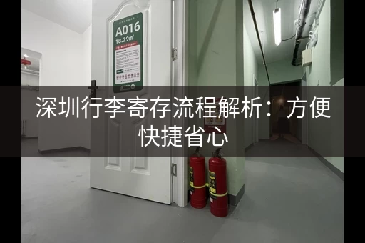 深圳行李寄存流程解析：方便快捷省心