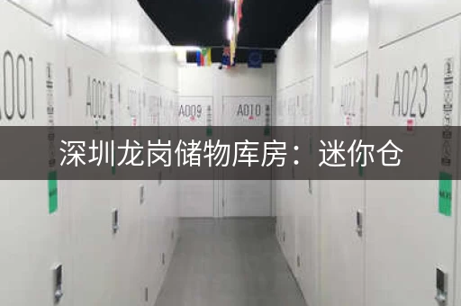 深圳龙岗储物库房：迷你仓，180元月起