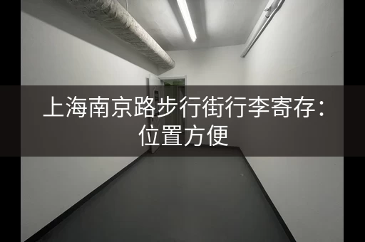 上海南京路步行街行李寄存：位置方便，价格实惠