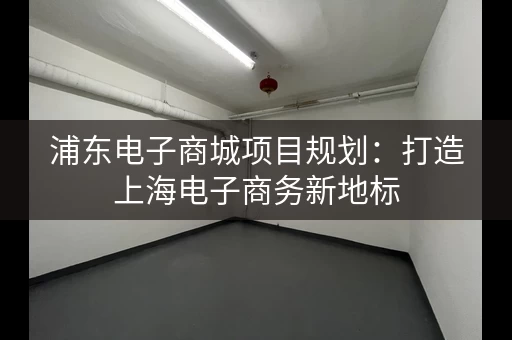 浦东电子商城项目规划：打造上海电子商务新地标