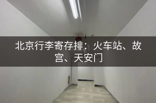北京行李寄存排：火车站、故宫、天安门，哪里都有