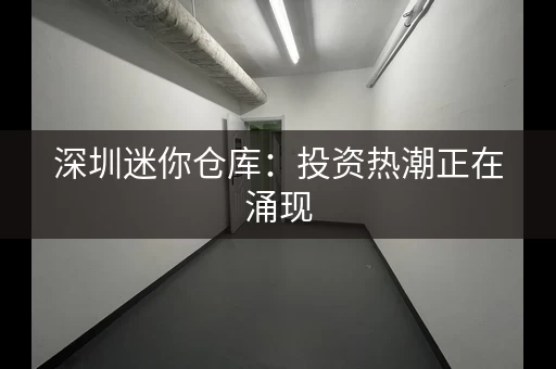深圳迷你仓库：投资热潮正在涌现