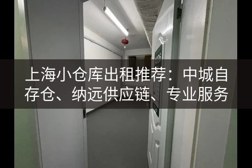 上海小仓库出租推荐：中城自存仓、纳远供应链、专业服务