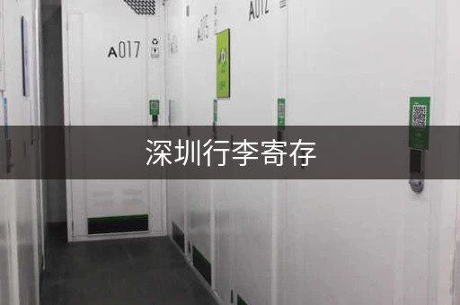 深圳行李寄存，途简单多点选择，价格低至5元起