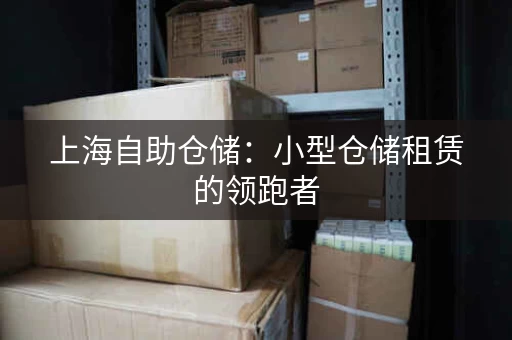 上海自助仓储：小型仓储租赁的领跑者