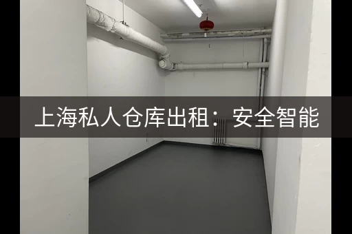 上海私人仓库出租：安全智能，便捷实用