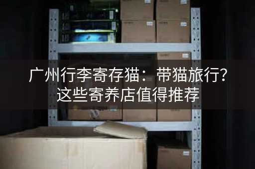 广州行李寄存猫：带猫旅行？这些寄养店值得推荐