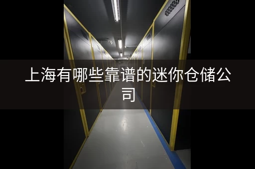 上海有哪些靠谱的迷你仓储公司