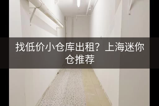 找低价小仓库出租？上海迷你仓推荐，价格实惠！