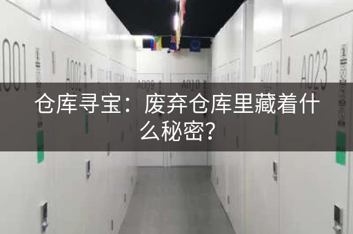 仓库寻宝：废弃仓库里藏着什么秘密？