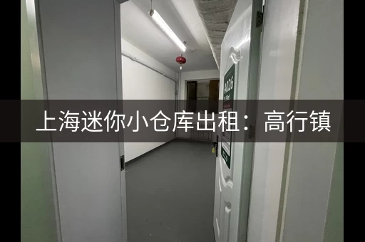 上海迷你小仓库出租：高行镇，随时可看，低价出租