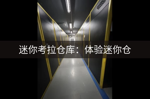 迷你考拉仓库：体验迷你仓，感受灵活便捷