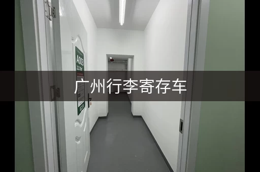 广州行李寄存车，地铁站智能寄存柜