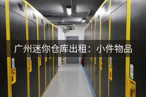 广州迷你仓库出租：小件物品，大件货物，一站式解决