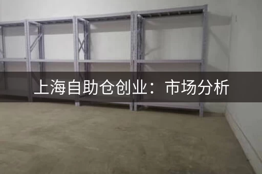 上海自助仓创业：市场分析，迷你仓行业前景大揭秘