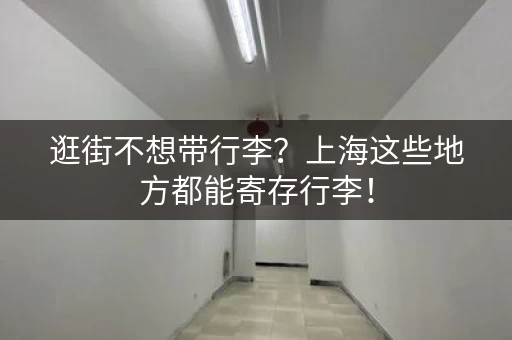 逛街不想带行李？上海这些地方都能寄存行李！