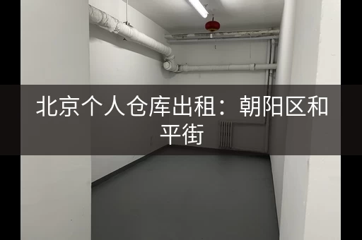 北京个人仓库出租：朝阳区和平街，150元月起租，可分割