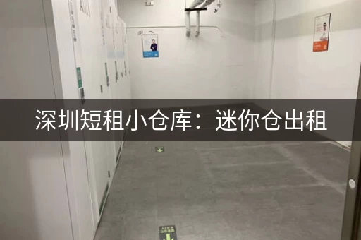 深圳短租小仓库：迷你仓出租，满足各种需求