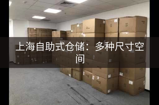 上海自助式仓储：多种尺寸空间，满足个性需求