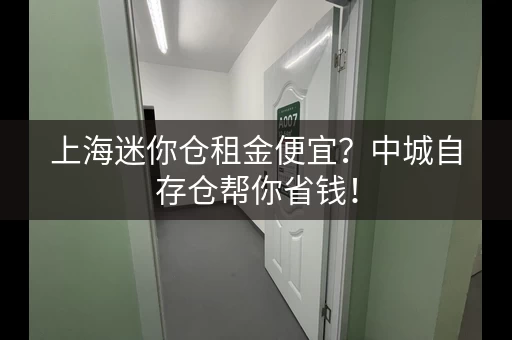 上海迷你仓租金便宜？中城自存仓帮你省钱！