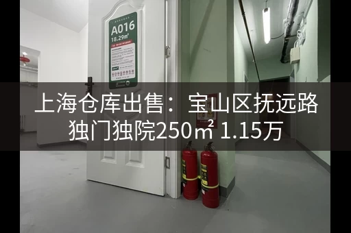 上海仓库出售：宝山区抚远路独门独院250㎡ 1.15万
