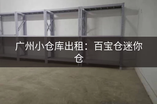 广州小仓库出租：百宝仓迷你仓，1立方起租，灵活方便
