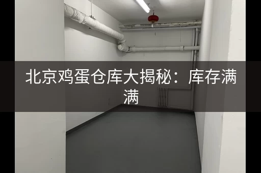 北京鸡蛋仓库大揭秘：库存满满，安心购买