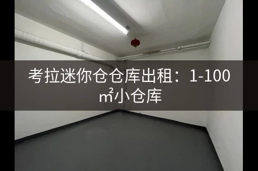 考拉迷你仓仓库出租：1-100㎡小仓库，装修季更便捷