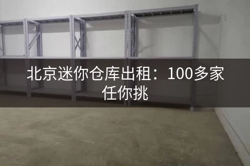 北京迷你仓库出租：100多家任你挑