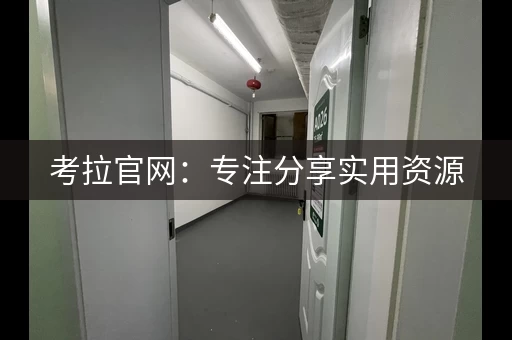 考拉官网：专注分享实用资源，提升工作效率
