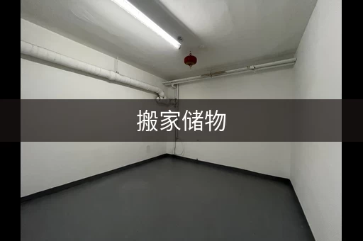 搬家储物，迷你仓来帮忙，节省空间更省心