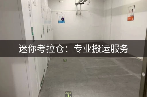 迷你考拉仓：专业搬运服务，让储物更轻松