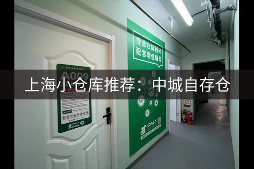 上海小仓库推荐：中城自存仓，家具物品存放专家