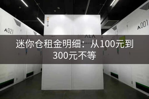 迷你仓租金明细：从100元到300元不等