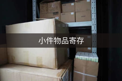 小件物品寄存，租个迷你仓就够了