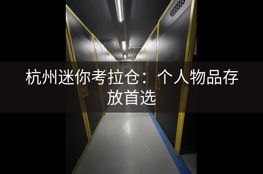 杭州迷你考拉仓：个人物品存放首选