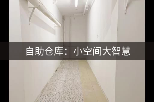 自助仓库：小空间大智慧，生活更轻松