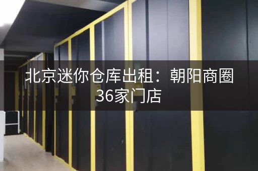 北京迷你仓库出租：朝阳商圈36家门店，便捷储物