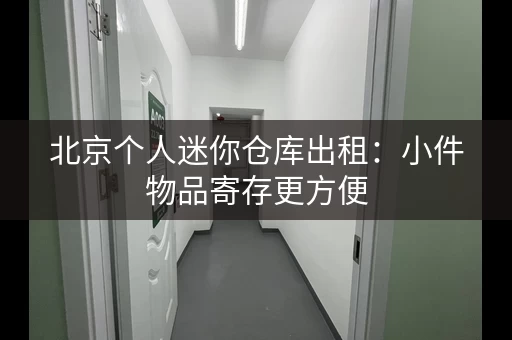 北京个人迷你仓库出租：小件物品寄存更方便
