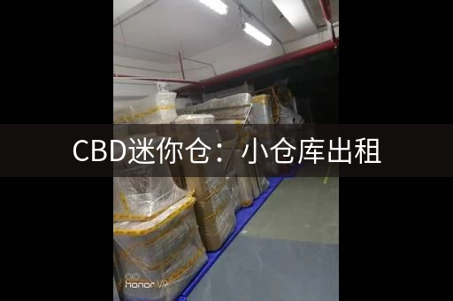 CBD迷你仓：小仓库出租，个人、企业物品寄存