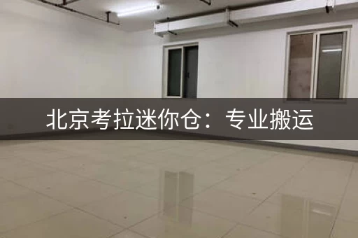 北京考拉迷你仓：专业搬运，轻松储物体验