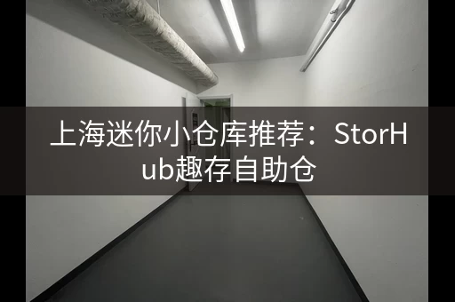 上海迷你小仓库推荐：StorHub趣存自助仓