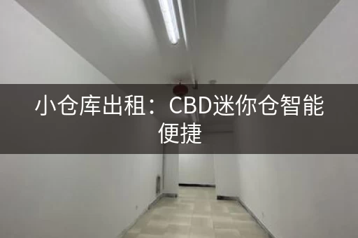 小仓库出租：CBD迷你仓智能便捷