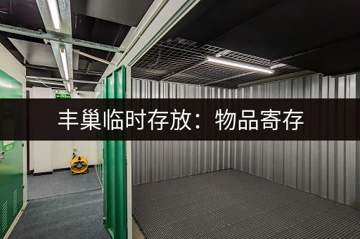 丰巢临时存放：物品寄存，方便又省心