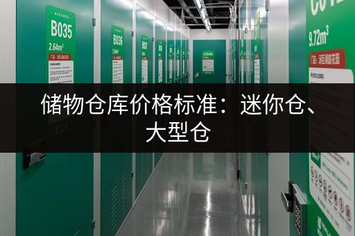 储物仓库价格标准：迷你仓、大型仓，性价比大比拼